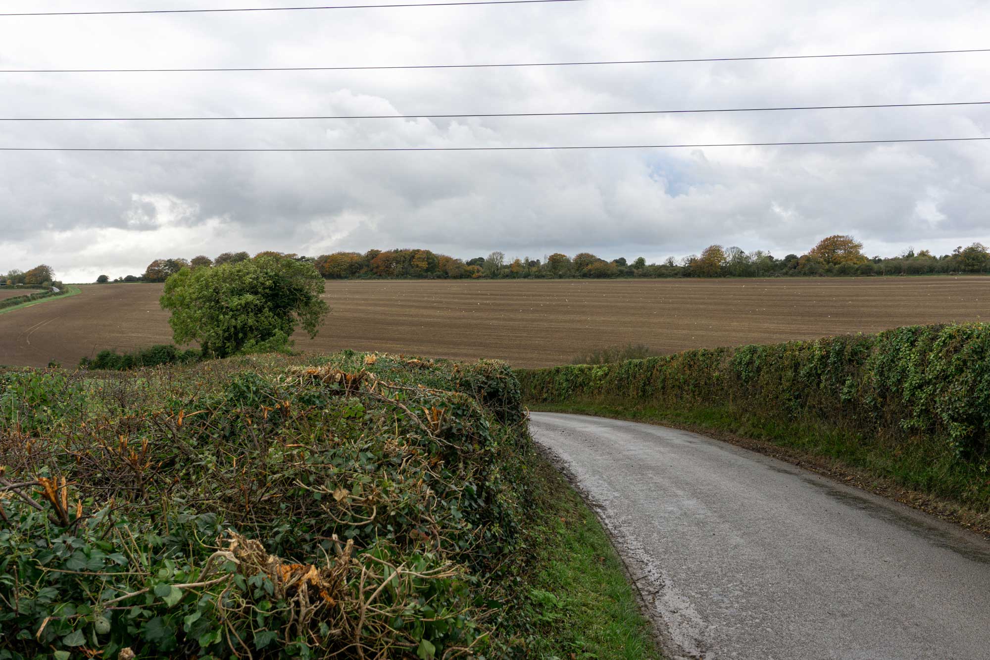 photos of field