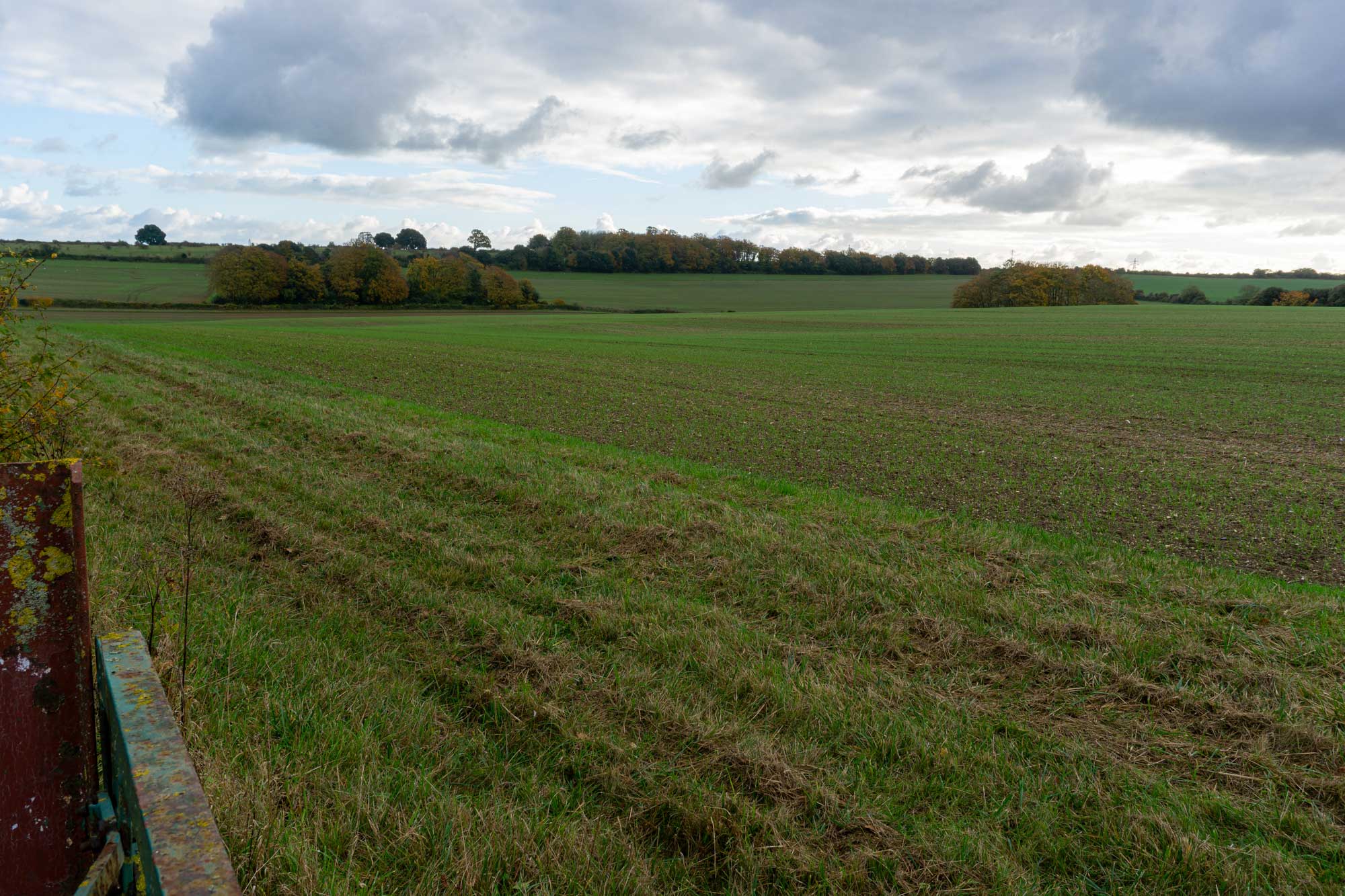 photos of field