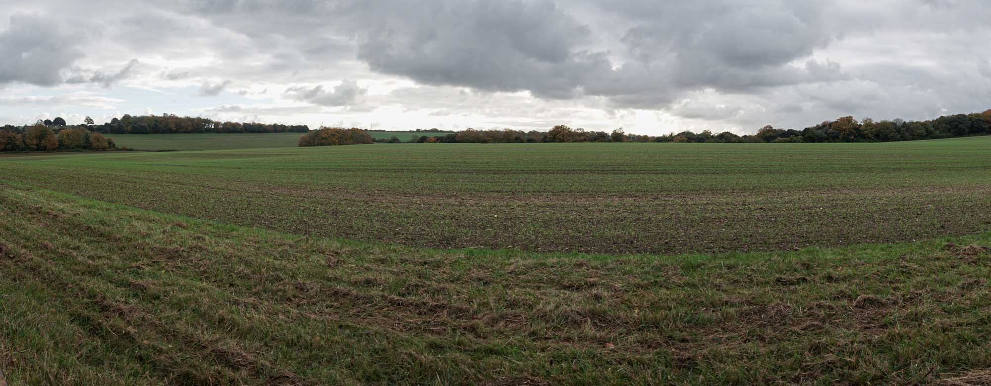 photos of field