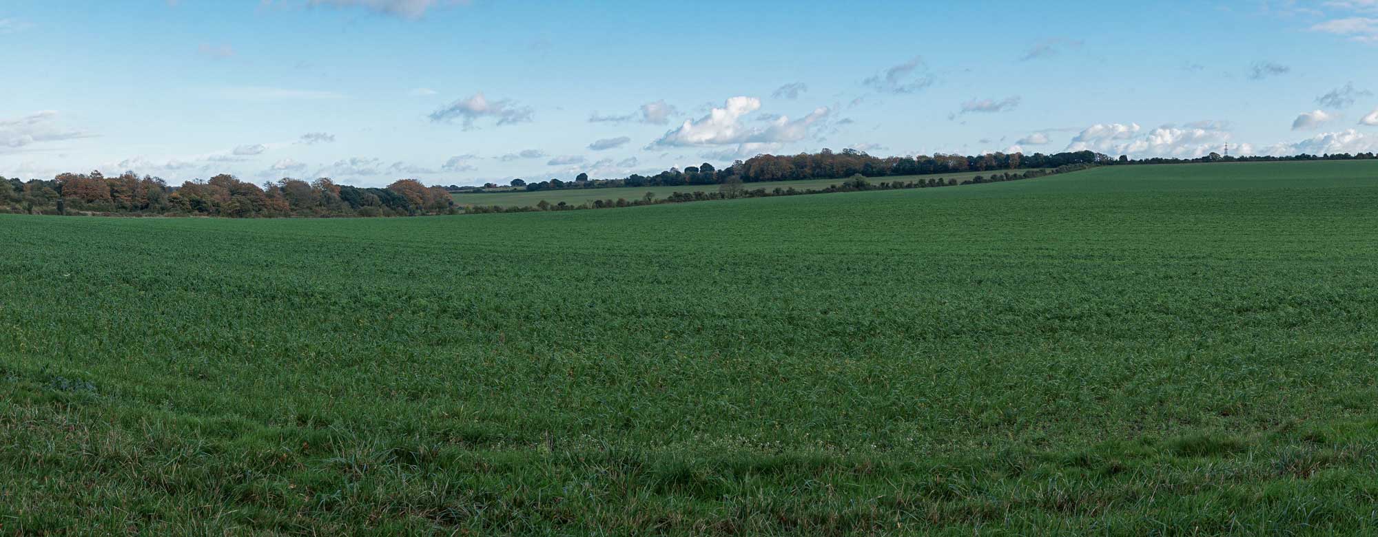 photos of field